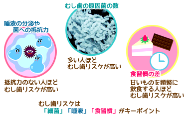 むし歯リスク